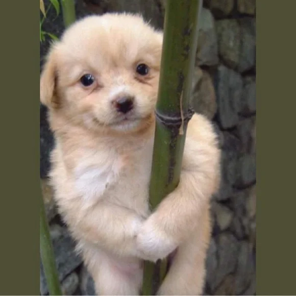 Mishy’s live w gifts and deals! - Picture 1 of 3